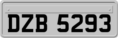 DZB5293