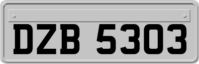 DZB5303