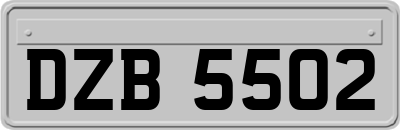 DZB5502
