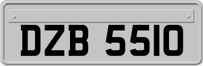 DZB5510