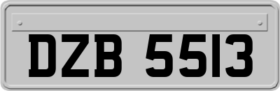 DZB5513