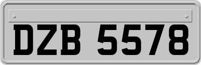DZB5578