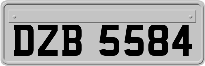 DZB5584