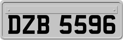 DZB5596