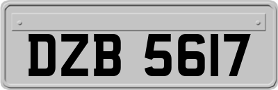 DZB5617