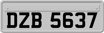 DZB5637