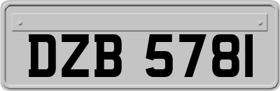 DZB5781