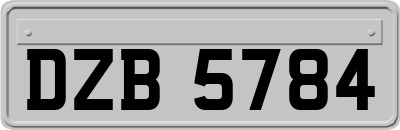 DZB5784