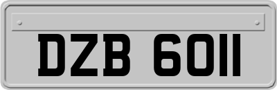 DZB6011