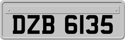 DZB6135