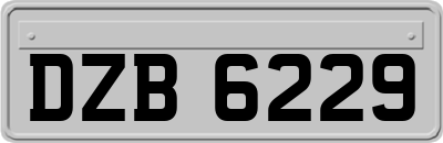 DZB6229