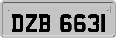 DZB6631