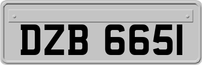 DZB6651