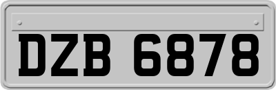 DZB6878