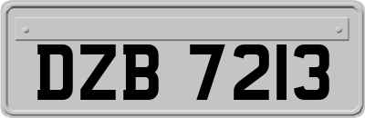 DZB7213