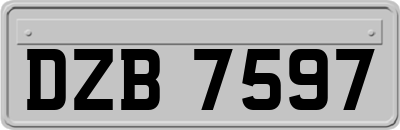 DZB7597
