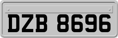 DZB8696