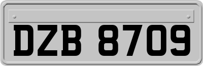 DZB8709