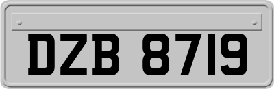 DZB8719