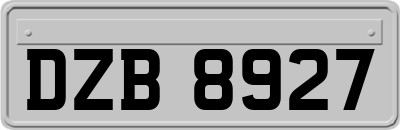 DZB8927
