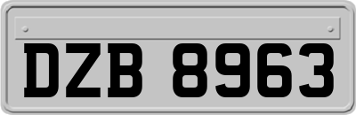 DZB8963