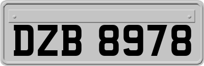 DZB8978