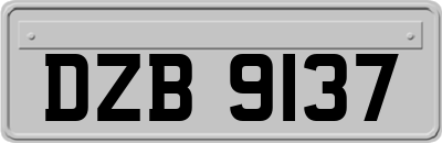 DZB9137
