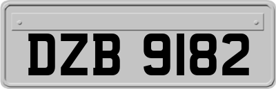 DZB9182