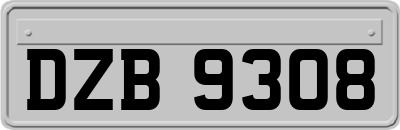 DZB9308