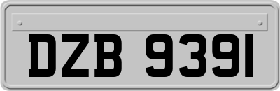 DZB9391