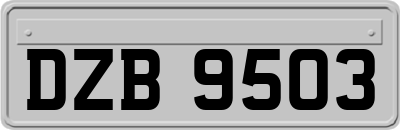 DZB9503
