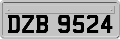 DZB9524