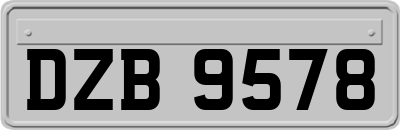 DZB9578