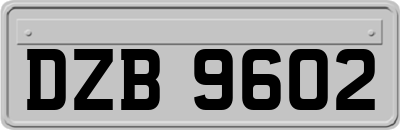 DZB9602