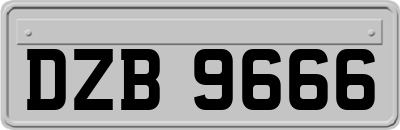 DZB9666