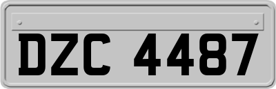 DZC4487
