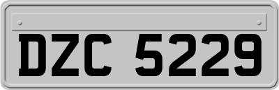 DZC5229