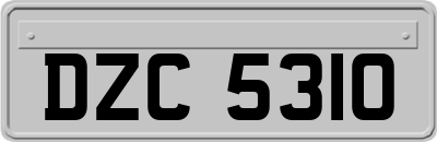 DZC5310
