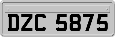 DZC5875