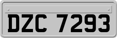 DZC7293