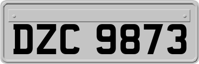 DZC9873