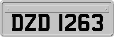 DZD1263