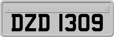 DZD1309