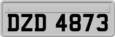 DZD4873