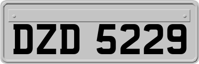 DZD5229