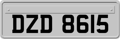 DZD8615