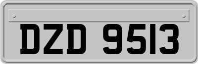 DZD9513