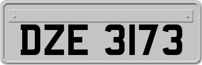 DZE3173