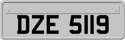 DZE5119