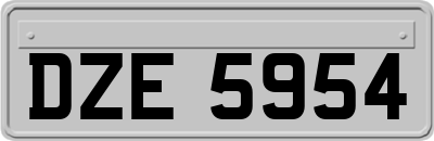 DZE5954